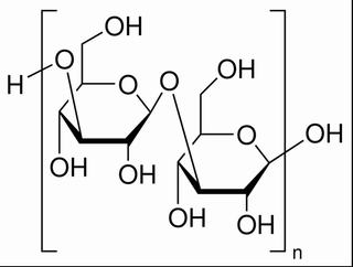 β-Glucan