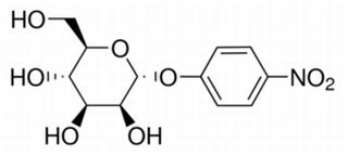 4-NITROPHENYL-ALPHA-D-MANNOPYRANOSIDE