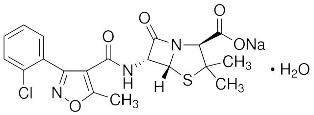 Sodium cloxacillin monohydrate