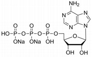 Adenosine disodium triphosphate