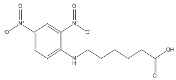 N-(2,4-Dinitrophenyl)-6-Aminocaproic Acid