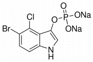 5-溴-4-氯-3-吲哚基磷酸钠