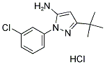 5-叔丁基-2-(3-氯-苯基)-2H-吡唑-3-胺盐酸盐