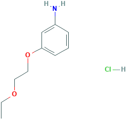 [3-(2-ethoxyethoxy)phenyl]amine hydrochloride