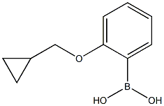 (2-(环丙基甲氧基)苯基)硼酸