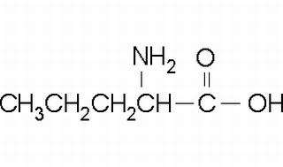 DL-Norvaline