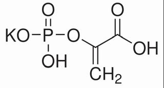 PHOSPHOENOLPYRUVIC ACID MONOPOTASSIUM SALT