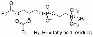 Lecithin, soybean