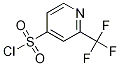 2-TRIFLUOROMETHYL-PYRIDINE-4-SULFONYL CHLORIDE