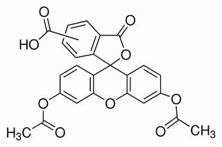 5(6)-羧基荧光素二乙酸酯