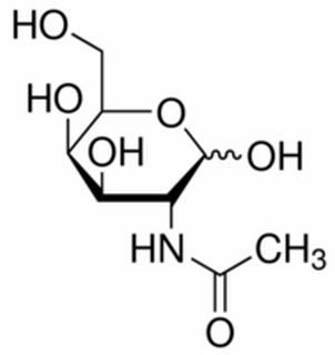 N-乙酰-D-半乳糖胺