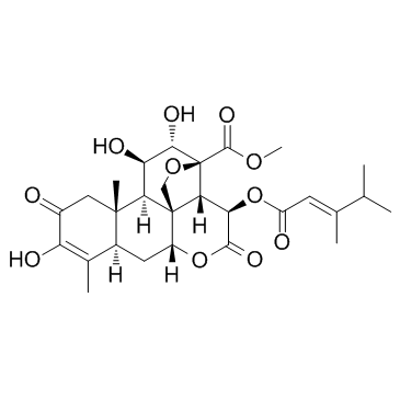 鸦胆亭(只卖MG级的)