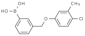 3-[(4-氯-3-甲基苯氧基)甲基]苯硼酸