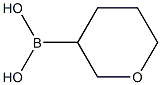 Tetrahydropyran-4-boronic Acid