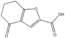 4-Oxo-4,5,6,7-tetrahydrobenzofuran-2-carboxylic acid