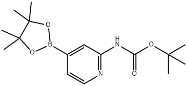 2-(Boc-氨基)吡啶-4-硼酸频哪醇酯