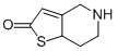 5,6,7,7a-Tetrahydrothieno[3,2-c]pyridin-2(4H)-one