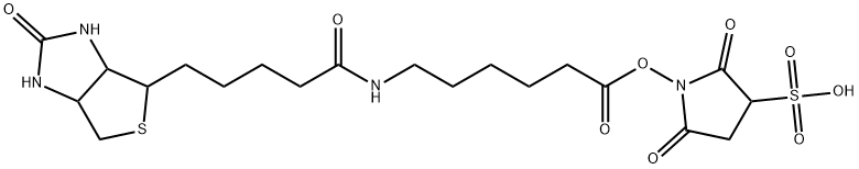 SULFOSUCCINIMIDYL N-(D-BIOTINYL)-6-AMINOHEXANOATE