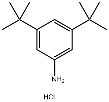 3,5-di-tert-butylaniline hydrochloride