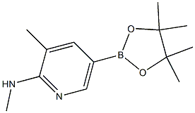 n,3-二甲基-5-(4,4,5,5-四甲基-1,3,2-二氧硼杂环戊烷-2-基)吡啶-2(1h)-imine
