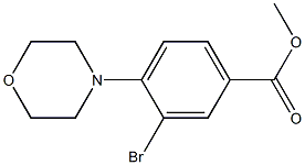 3-溴-4-(4-吗啉基)苯甲酸甲酯