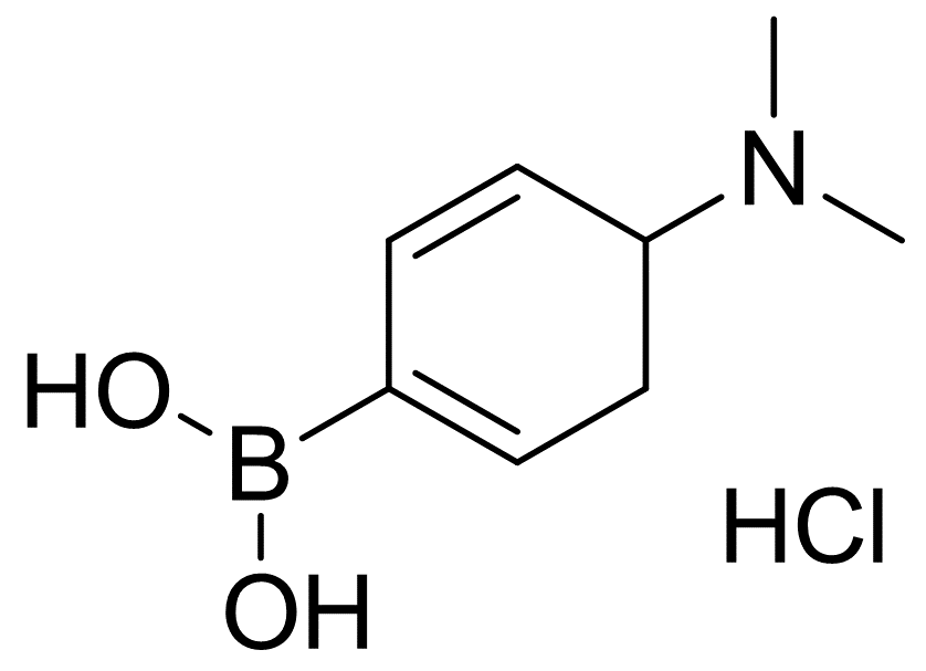 4-(二甲基氨基)苯硼酸盐酸盐