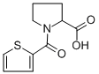 1-(THIOPHENE-2-CARBONYL)-PYRROLIDINE-2-CARBOXYLIC ACID