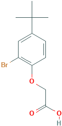 2-[2-BROMO-4-(TERT-BUTYL)PHENOXY]ACETIC ACID