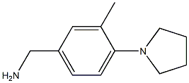 1-[3-methyl-4-(1-pyrrolidinyl)phenyl]methanamine(SALTDATA: HCl)