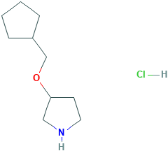 3-(CYCLOPENTYLMETHOXY)PYRROLIDINE HYDROCHLORIDE