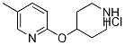 5-甲基-2-(4-哌啶基氧基)吡啶盐酸盐