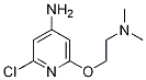 2-chloro-6-(2-(dimethylamino)ethoxy)pyridin-4-amine