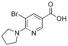 5-溴-6-吡咯-1-基-烟酸