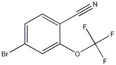 2-三氟甲氧基-4-溴苯腈