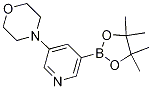 4-(5-(4,4,5,5-tetramethyl-1,3,2-dioxaborolan- 2-yl)pyridin-3-yl)morpholine