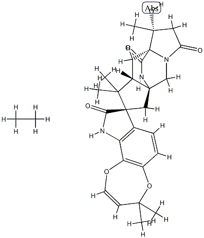 VM 55597