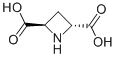 (±)-反-吖丁啶-2,4-二羧酸