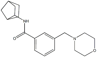 N-(3-bicyclo[2.2.1]heptanyl)-3-(morpholin-4-ylmethyl)benzamide