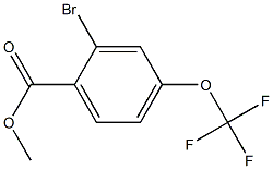 2-Bromo-4-(trifluoromethoxy)benzoic acid methyl ester