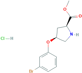 Methyl (2S,4S)-4-(3-bromophenoxy)-2-pyrrolidinecarboxylate hydrochloride