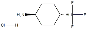 反式-4-三氟甲基环己胺盐酸盐