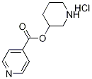 3-Piperidinyl isonicotinate hydrochloride