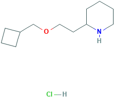 2-[2-(Cyclobutylmethoxy)ethyl]piperidine hydrochloride