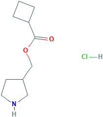 3-Pyrrolidinylmethyl cyclobutanecarboxylatehydrochloride