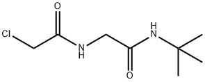 N-叔丁基-2-(2-氯乙酰胺)乙酰胺