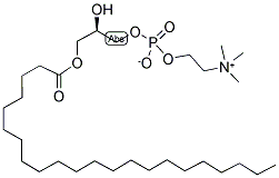 1-BEHENOYL-2-HYDROXY-SN-GLYCERO-3-PHOSPHOCHOLINE