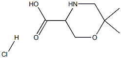 6,6 - 二甲基-3 - 羧酸吗啉盐酸盐