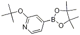 2-T-BUTOXYPYRIDINE-4-BORONIC ACID PINACOL ESTER