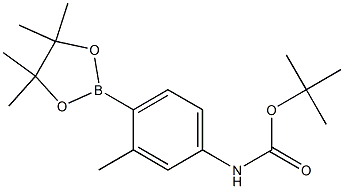 tert-Butyl 3-methyl-4-(4,4,5,5-tetramethyl-1,3,2-dioxaborolan-2-yl)phenylcarbamate