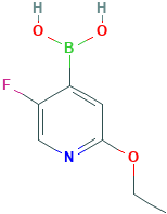 (2-乙氧基-5-氟吡啶-4-基)硼酸